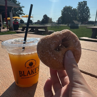 Cider mill donuts from Blake's near Detroit, Michigan