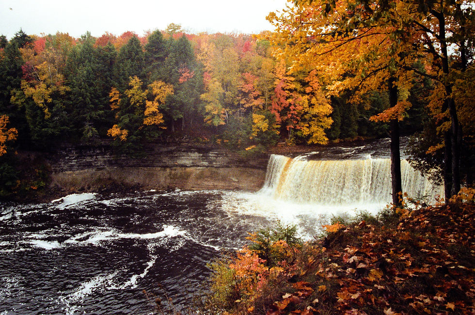 A waterfall emerges in the river amongst yellow and orange fall foliage.