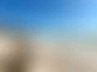 Seaweed season didn't take away from the stunning beach at The Reach Resort Key West