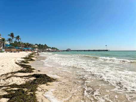 Seaweed season didn't take away from the stunning beach at The Reach Resort Key West