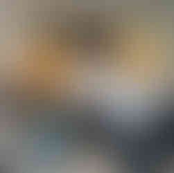 Standard king room at The Reach Key West - January 2025