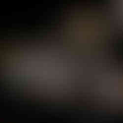 Bar at The Bull & Whistle in Key West, Florida