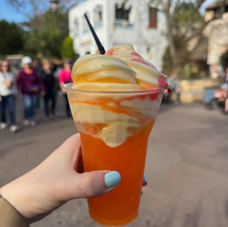 Grabbing some yummy treats during our one day trip to Animal Kingdom in Walt Disney World
