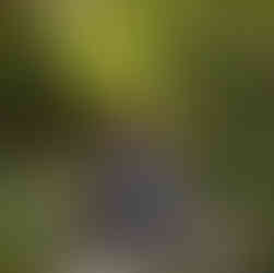 Woman sitting on stone step