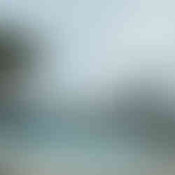 Pool overlooking the beach at The Reach Key West - January 2025