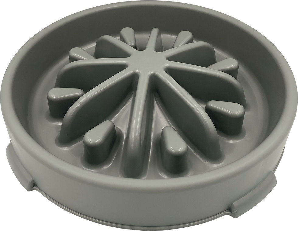 Thumbnail: SLOW FEEDING PET BOWL