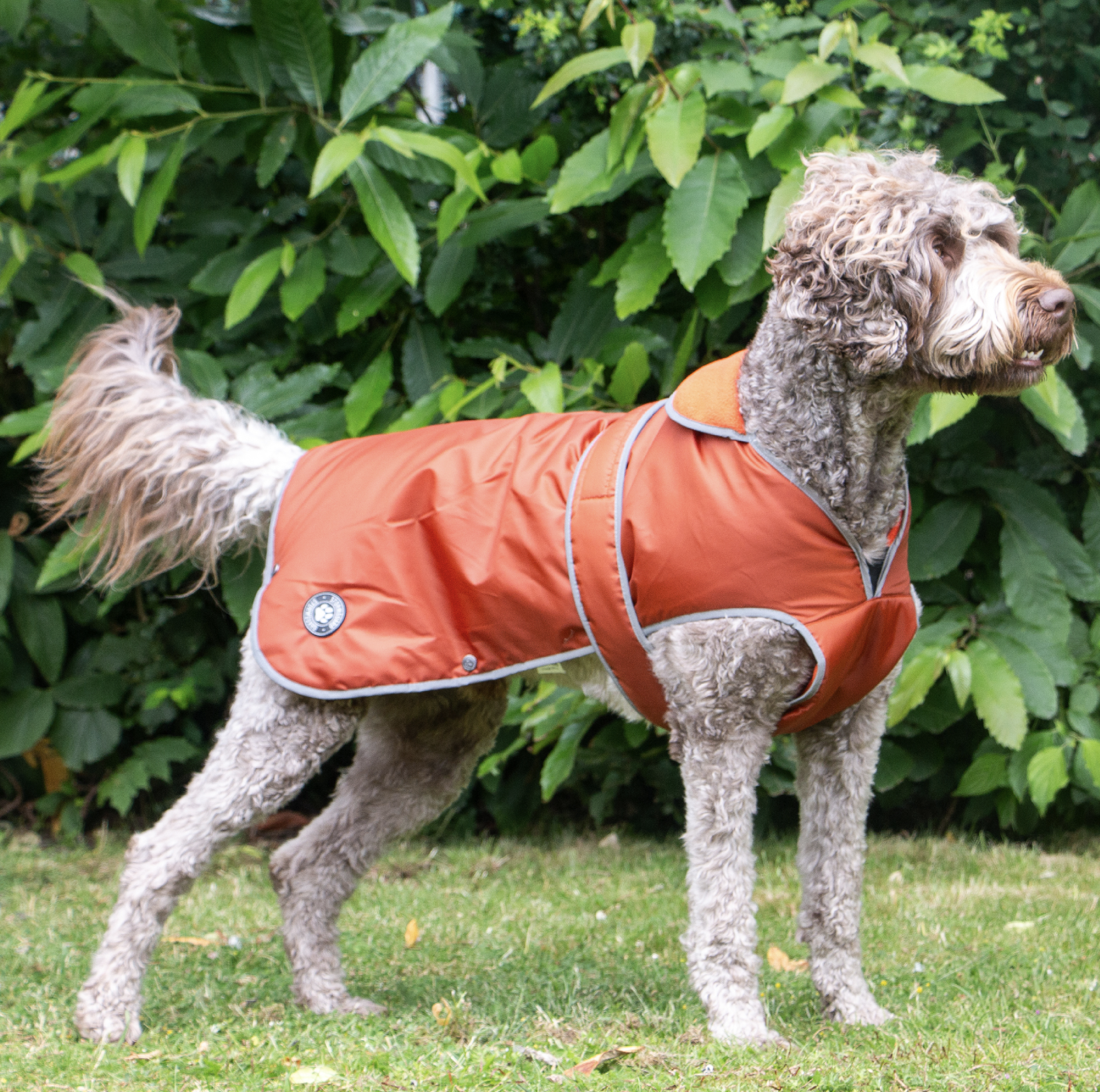 STORMGUARD DOG COAT
