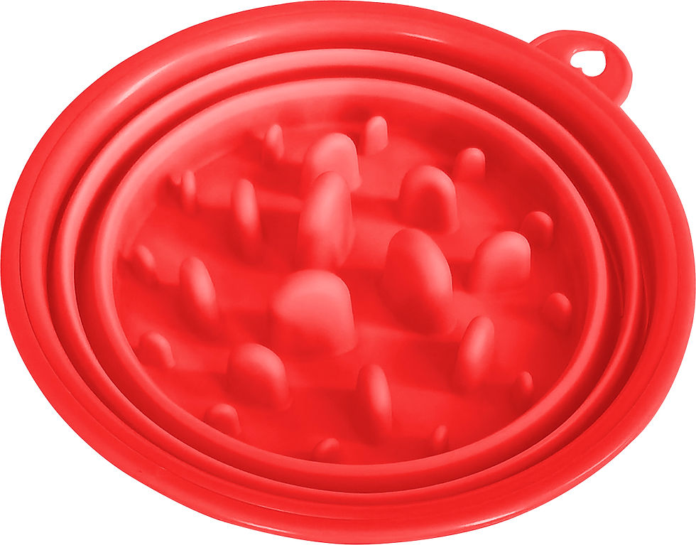 Thumbnail: Slow Feeder Pop Up Pet Travel Bowls