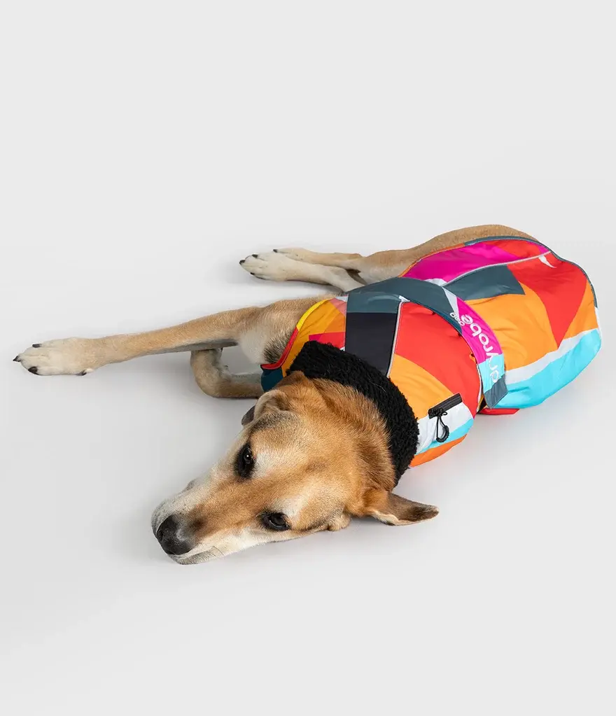 Dryrobe® Abstract Dog Coat