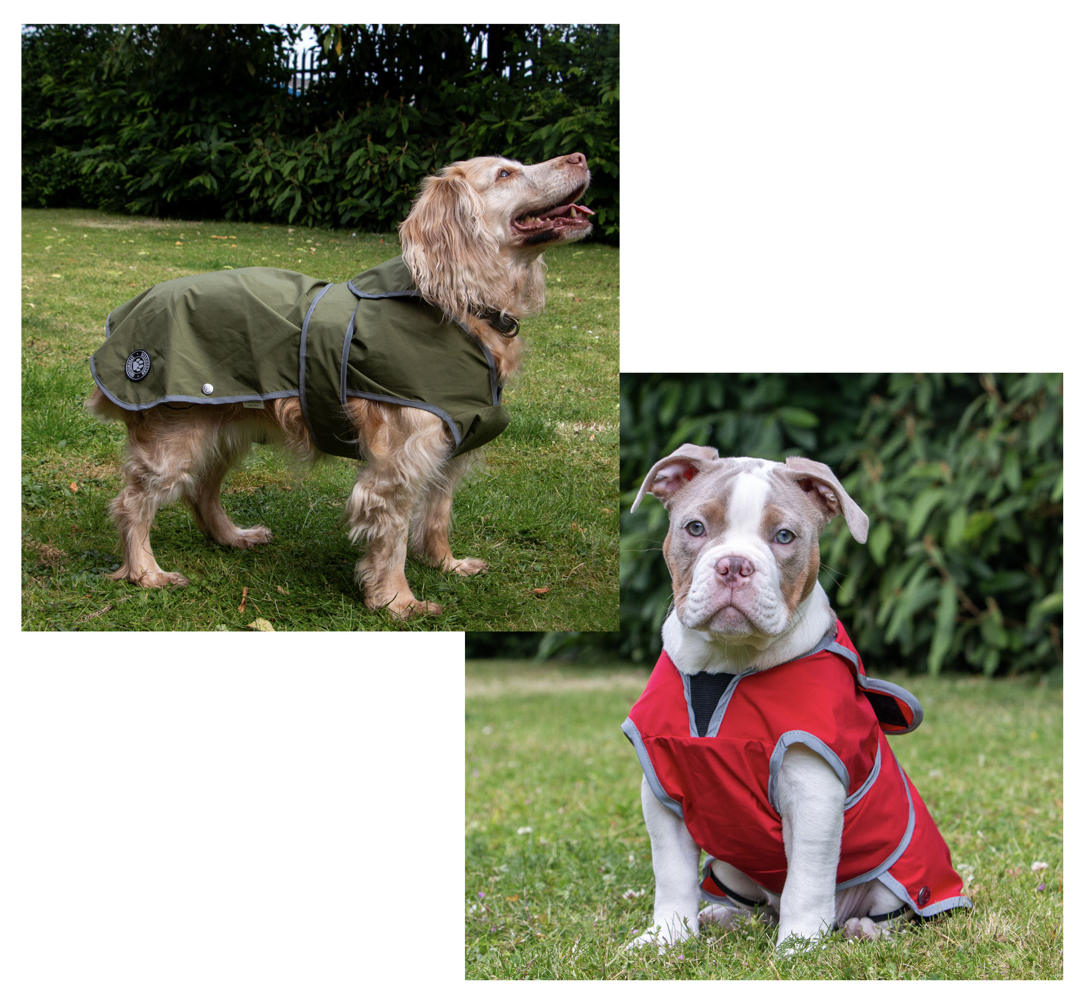 STORMGUARD SOFT SHELL DOG COAT