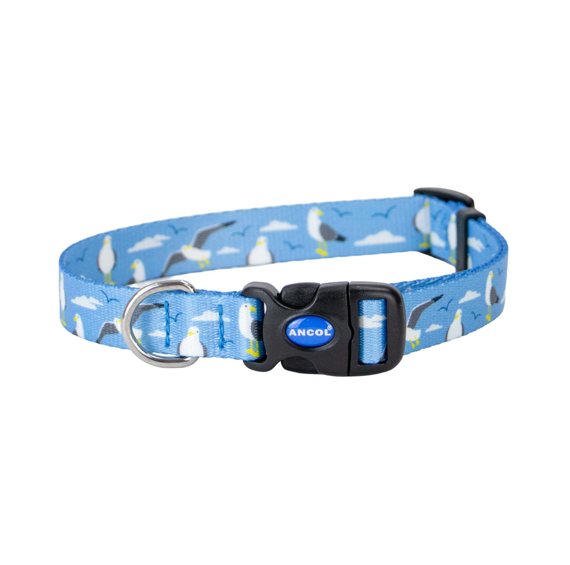 SOHO SEAGULL COLLAR