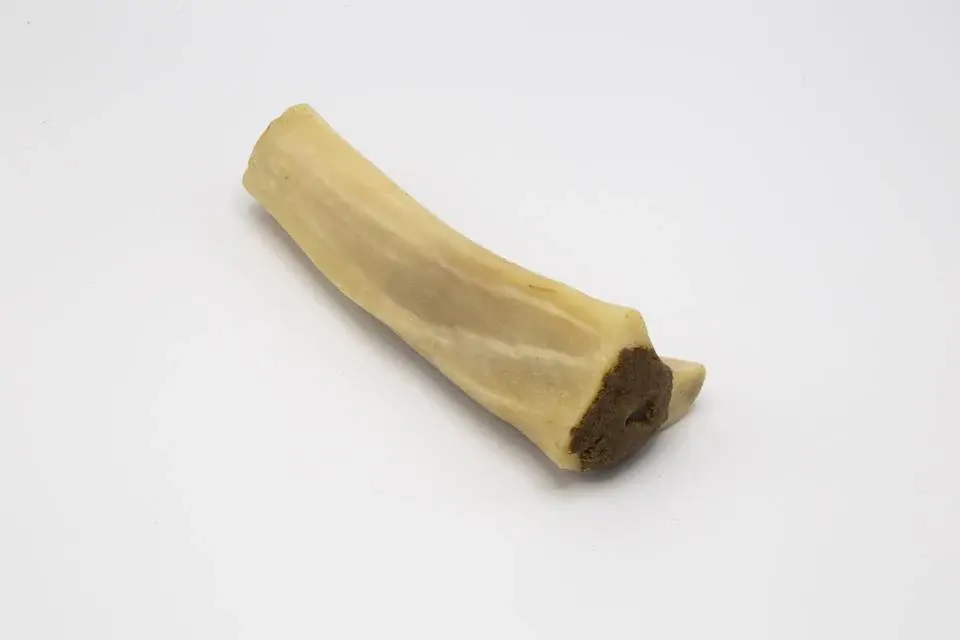 Buffalo Bone