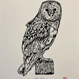 Barn owl art by Molly Gray