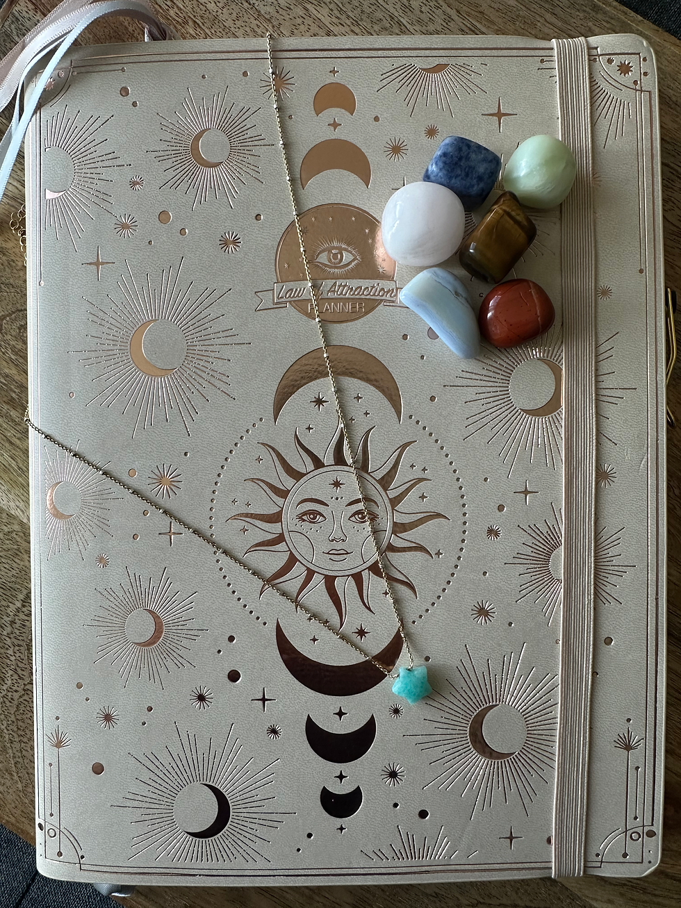 Comenzando el Año Nuevo 2025 en Febrero…