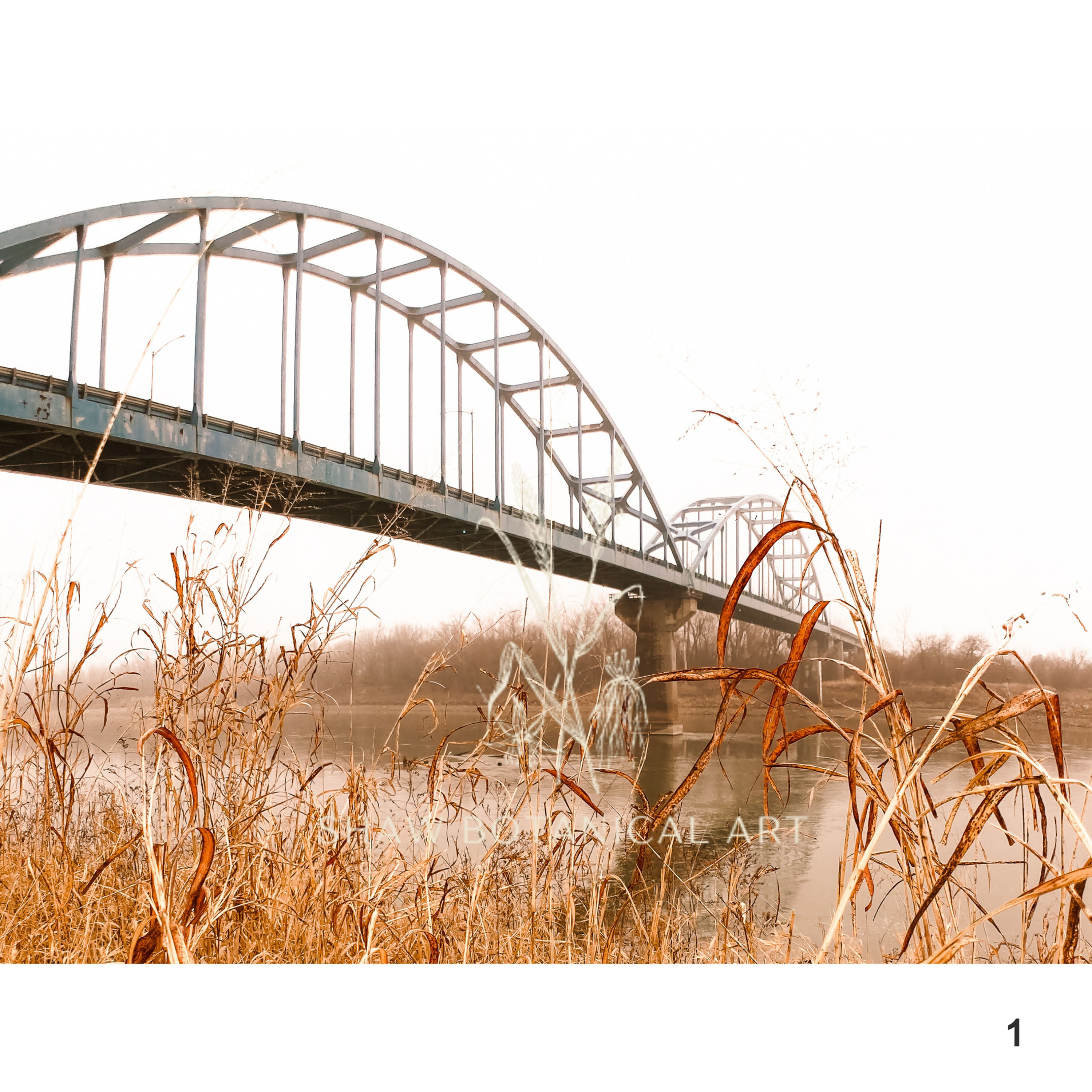 Windswept Winter 2022 Collection - Fine Art Prints