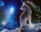 Capricorn Zodiac Sign