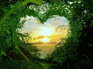 healing the heart with nature pic