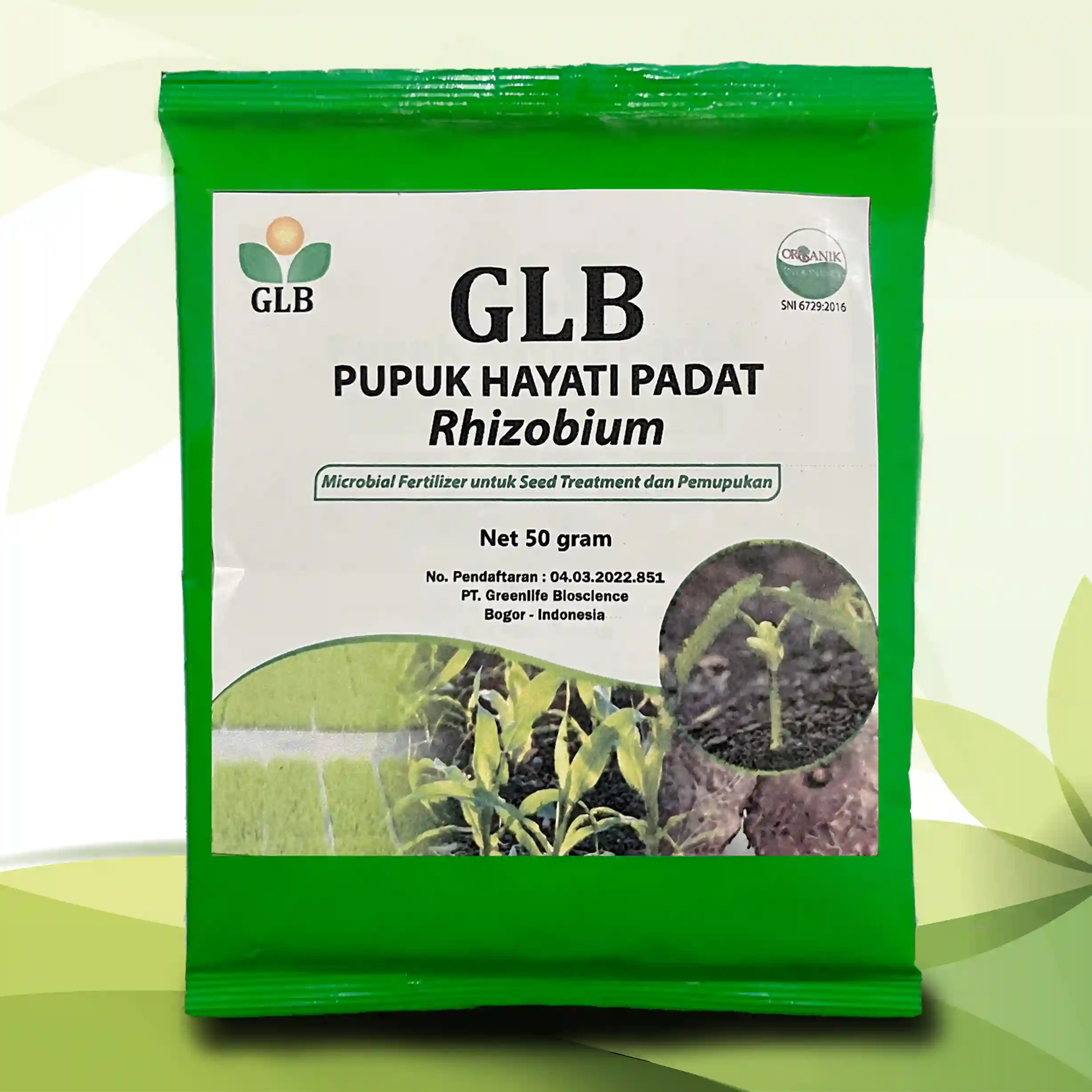 php glb rhizobium.webp
