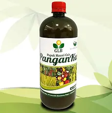 Panganku_BG.webp