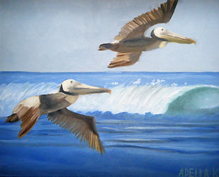 pelicans 2.JPG