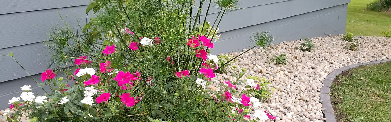 Custom Professional planters flowers