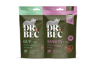 GUT+ & ANXIETY+ Bundle.png