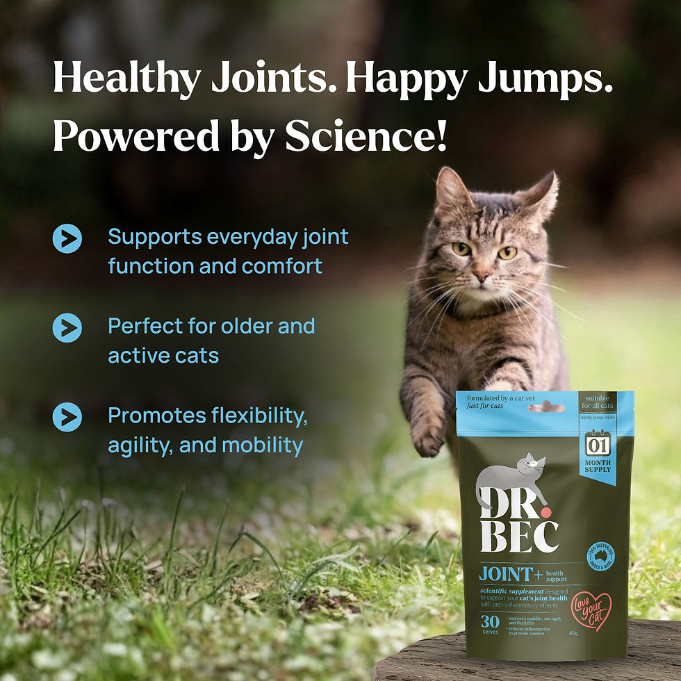 Thumbnail: GUT+ & JOINT+ Bundle
