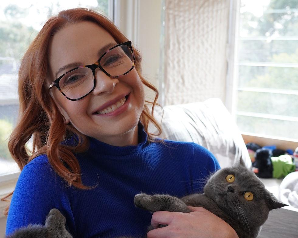 Understanding Anxiety In Cats: What It Looks Like, Why It's Missed, And How To Help