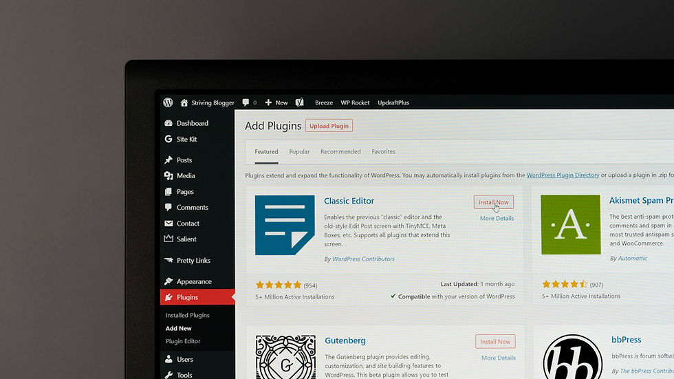 A computer screen displaying WordPress plugins