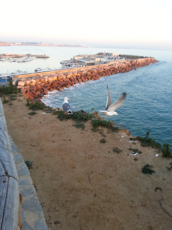 Puerto Conil