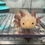 Thumbnail: "Buckwheat" Light Hypomelanistic Melanoid Axolotl