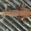 Thumbnail: "Aluminum" Hypomelanistic Axanthic Melanoid Axolotl