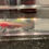 Thumbnail: "Oatmeal Crisp" Hypomelanistic Copper Melanoid Axolotl
