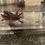 Thumbnail: "Willy Wonka" Axanthic Axolotl