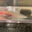 Thumbnail: "Fly Away from Here" High Iridophore Golden Albino