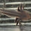 Thumbnail: "Soft Shower" RFP Melanoid Axolotl (DNA Confirmed Female)