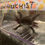 Thumbnail: "Clean Freak Mist" Red-Gilled Melanoid Axolotl (Confirmed Male)