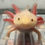 Thumbnail: "Alpha-Bit" Super Hypomelanistic Copper Melanoid Axolotl (Confirmed Male)