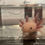Thumbnail: "Muffet" Hypomelanistic Melanoid Axolotl