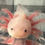Thumbnail: "Owner Of A Lonely Heart" RFP Leucistic Axolotl