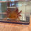 Thumbnail: "Caldor" High Iridophore Copper Axolotl