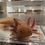 Thumbnail: "Jordan Marsh" Copper Melanoid Axolotl (Confirmed Male)