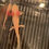 Thumbnail: "Hubba Bubba" Albino Axolotl