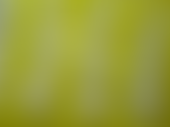 Axolotls & PCR Genetic Sex Sampling