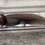 Thumbnail: "EmberSilk" Axanthic Melanoid Axolotl (Visually Confirmed Male)