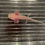 Thumbnail: "Oatmeal Crisp" Hypomelanistic Copper Melanoid Axolotl