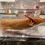Thumbnail: "Macy" High Iridophore Copper Axolotl (Confirmed Male)