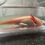 Thumbnail: "Nutter Butter" Hypomelanistic Melanoid Copper Axolotl (Probable Female)