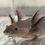 Thumbnail: "Bounce Bliss" Melanoid Axolotl (DNA Confirmed Female)