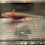 Thumbnail: "Cheerio" Hypomelanistic Copper Melanoid Axolotl